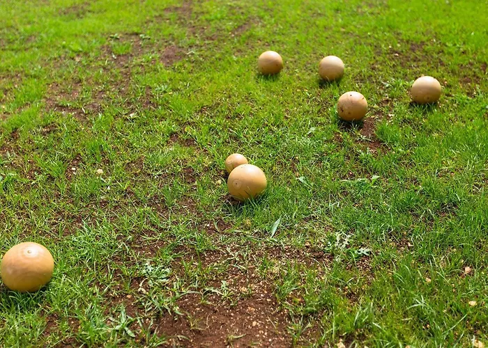 Holiday home San Rocco Pula