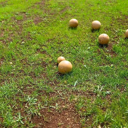 Будинок відпочинку San Rocco Пула